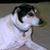 Rich Ford's profile image