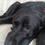 Jan Killion's profile image
