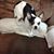 Dawn Sehl's profile image