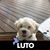 Bobbie Palagi Smith's profile image
