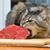 Anastassia Doktorova's profile image