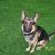 Regina J Divan's profile image