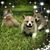 Cantey Christina's profile image