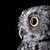Patricia HN's profile image