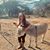Kelley Collins's profile image