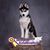 Sandy Hudspeth's profile image