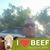 Dan Menge's profile image