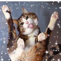 Jennifer Cherne's profile image