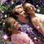 Jennifer Bombacie Becker's profile image