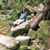 Sarah Lyon Liley's profile image