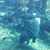 Debbie Tuttle McMillen's profile image