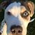 Tibor Szabo's profile image