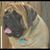 Sherry Deans's profile image