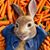 Eric Mbugua's profile image