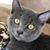 Natalie Ervin's profile image