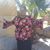 Felicia Hampton Fitzpatrick's profile image