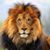 Carlos Knuth Oronoz's profile image
