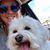 Sharon Cohn's profile image