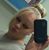 Karissa M Martinez's profile image