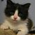 Jane Montalvo's profile image