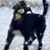 Christina Gheen's profile image