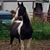 Kathy Peterson-Herbst's profile image