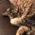 Melaney Hodge's profile image