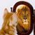 Connie Langford's profile image