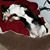 Kathryn Kiihn's profile image