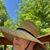Mary E Sharkey's profile image