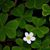 Alicia Leslie Martin's profile image