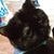 Colleen Morris's profile image