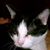 Debbie Duvall Berry's profile image