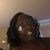 Lawana Gladney's profile image