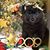 Amy Lynn Gossman's profile image