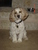 Laura M.'s profile image