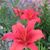 Marilyn Halverson's profile image