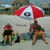 Tim Kretzer's profile image