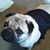 Phil Bogner's profile image