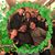 Nicholas D. Haase's profile image