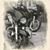 Tr Collins's profile image