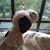Nann Wint War's profile image