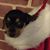 Carol Cross's profile image