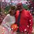 Penny Cowan's profile image