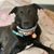 Dawn Smith's profile image