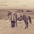 Deb Kvam's profile image