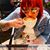 Deidre Rose Gray's profile image