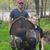 Henry Jeffrey's profile image