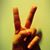 David Link's profile image