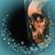 William Shinske's profile image